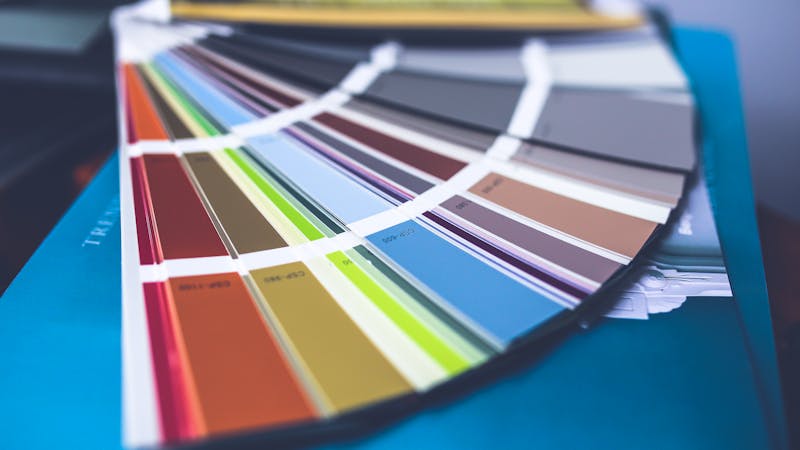 A color palette spread showing harmonious design swatches for a cohesive visual system