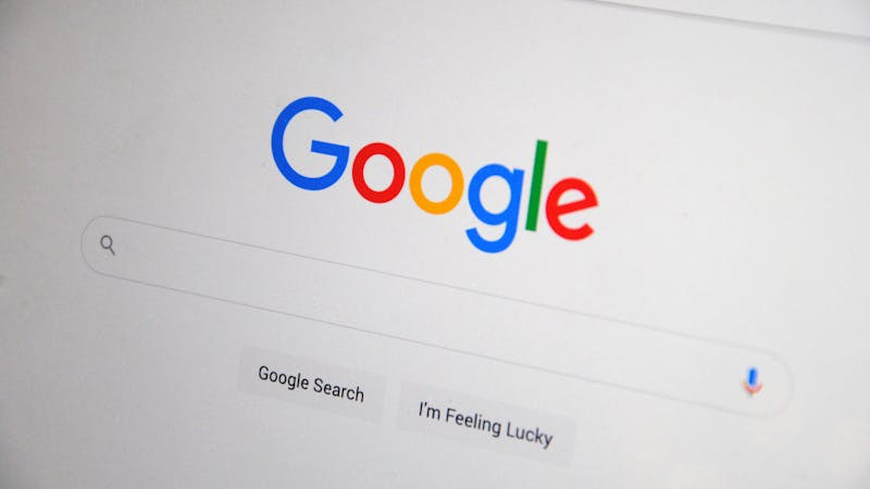 Search results listing page showing filtered and sorted directory entries