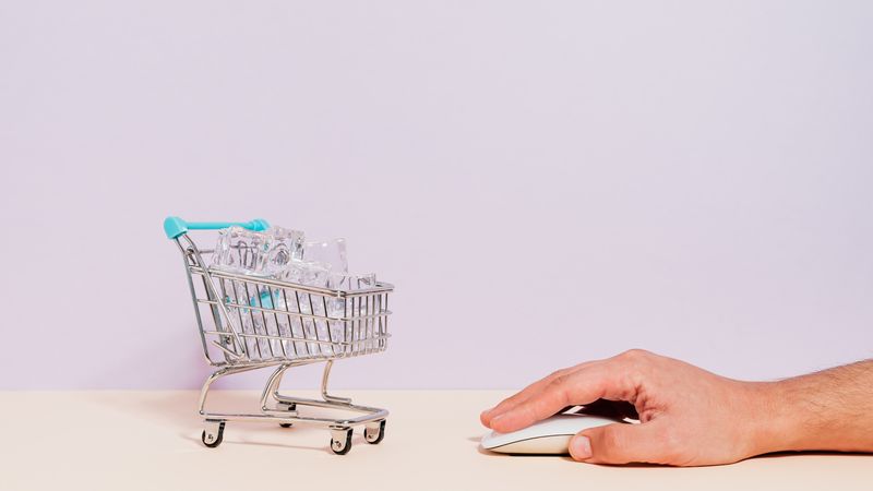 Shopping cart and checkout interface on a website