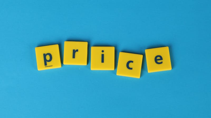 Business professionals discussing pricing strategy and project budget