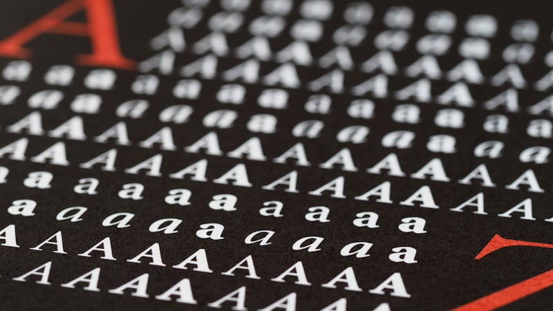 Elegant font specimens and typographic design elements arranged for comparison